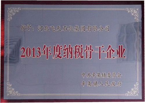 2013年度纳税骨干企业